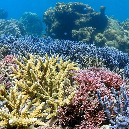 Alam Karang Hotell Gili Gede Eksteriør bilde