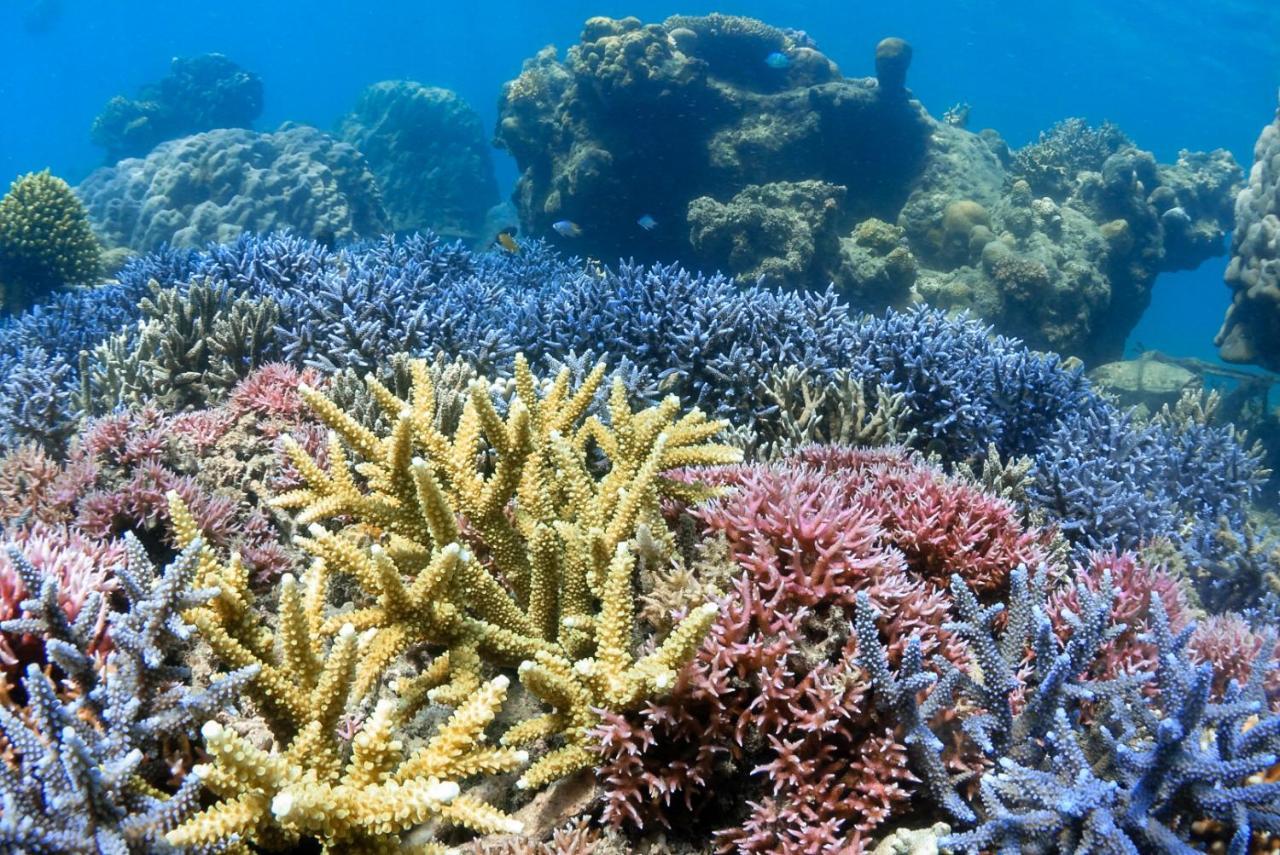 Alam Karang Hotell Gili Gede Eksteriør bilde